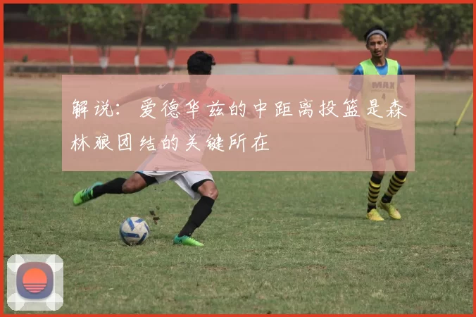 解说：爱德华兹的中距离投篮是森林狼团结的关键所在