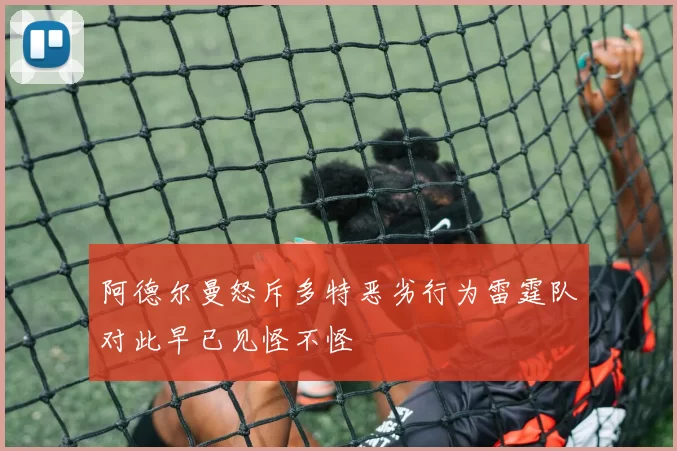 阿德尔曼怒斥多特恶劣行为雷霆队对此早已见怪不怪