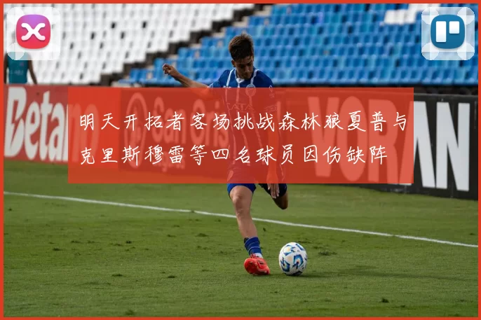 明天开拓者客场挑战森林狼夏普与克里斯穆雷等四名球员因伤缺阵