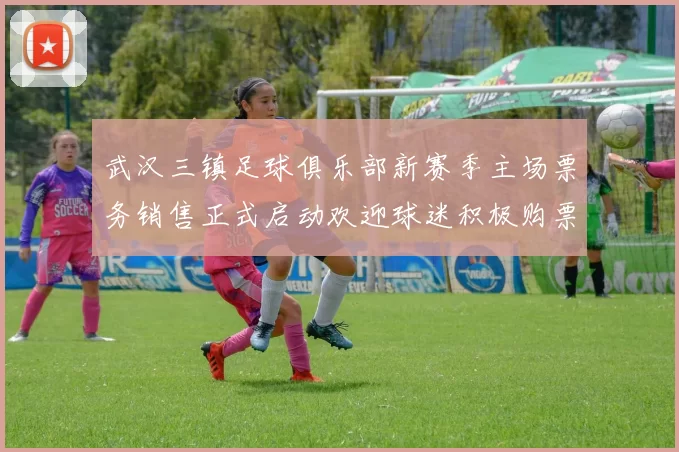武汉三镇足球俱乐部新赛季主场票务销售正式启动欢迎球迷积极购票支持球队